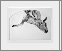 Dood schaap
ets/aquatint Dood schaap
ets/aquatint