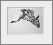 Dood schaap
ets/aquatint