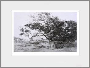 Westergeest
Ets/aquatint