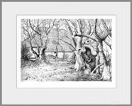 Willemshoeve
ets Willemshoeve
ets