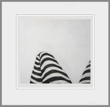 Zebra broek
Droge naald