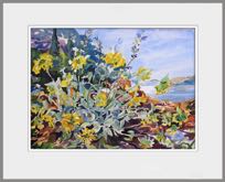 Bloemen op Kreta
Aquarel