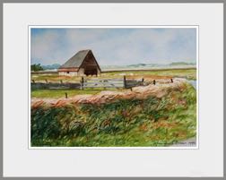 Zuidhaffel
Aquarel Zuidhaffel
Aquarel
